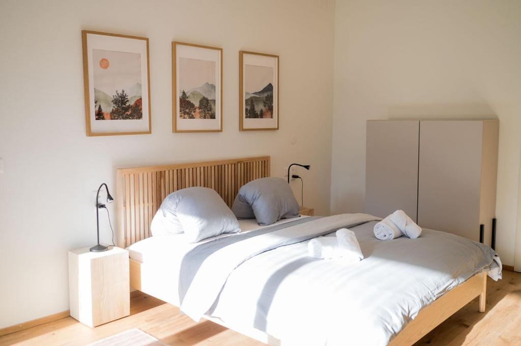 Alpennest Apartment